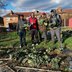 Coco Collective- Ital Community Gardens