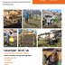 Coco Collective- Ital Community Gardens