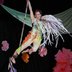 Adult in a foot lock on rope in a community show