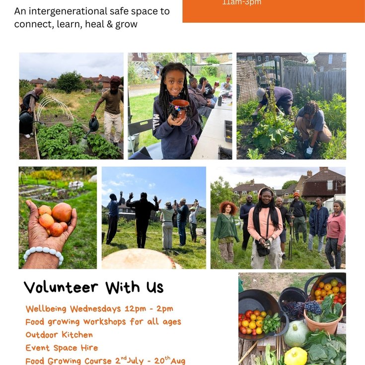 Coco Collective- Ital Community Gardens