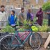 Coco Collective- Ital Community Gardens